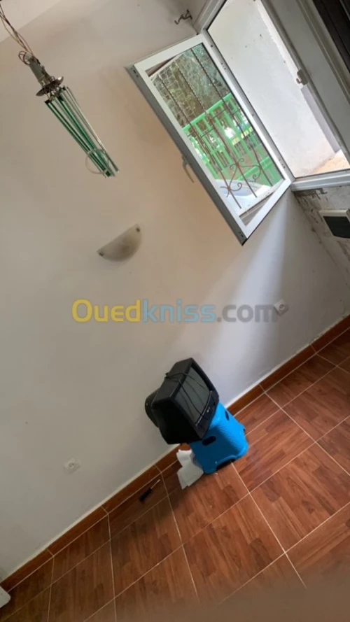 Vente Studio Alger Chevalley