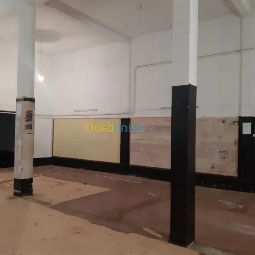 Location Local Ain temouchent Ain temouchent