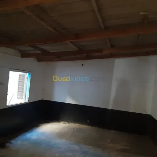 Location Local Ain temouchent Ain temouchent