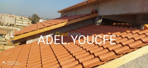 Charpente en bois(greniers, tuiles...)