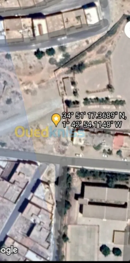 Vente Terrain Tlemcen Maghnia