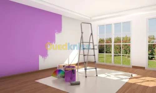 طلاء داخلي وخارجي 