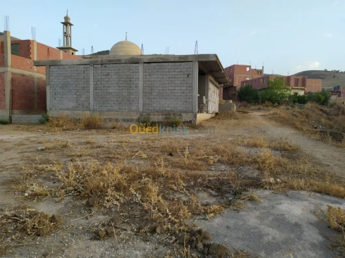 Vente Carcasse Mila Ferdjioua