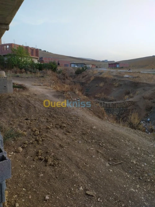 Vente Carcasse Mila Ferdjioua