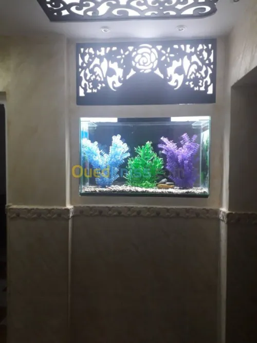 Découpe Forex Aluco Plixi PMMA 