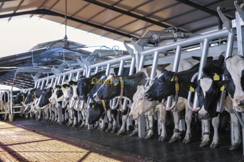 Cuve de refroidissement Tank à lait
