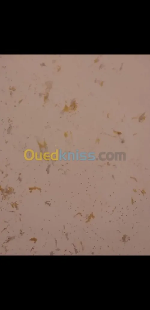 Peintre et décorateur 