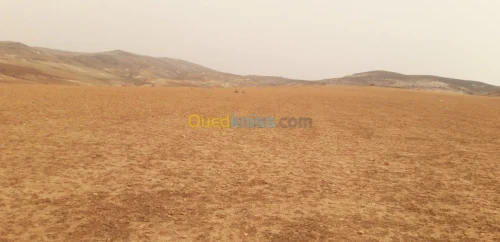 Vente Terrain Mascara Sig