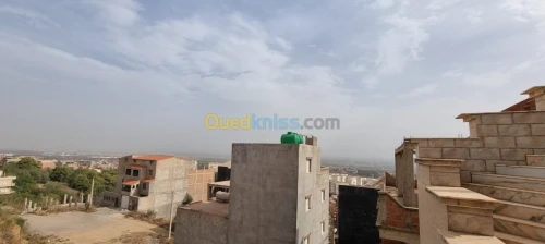 Vente Carcasse Alger Khraissia
