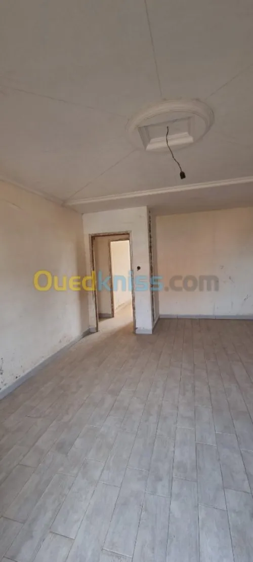 Vente Carcasse Alger Khraissia