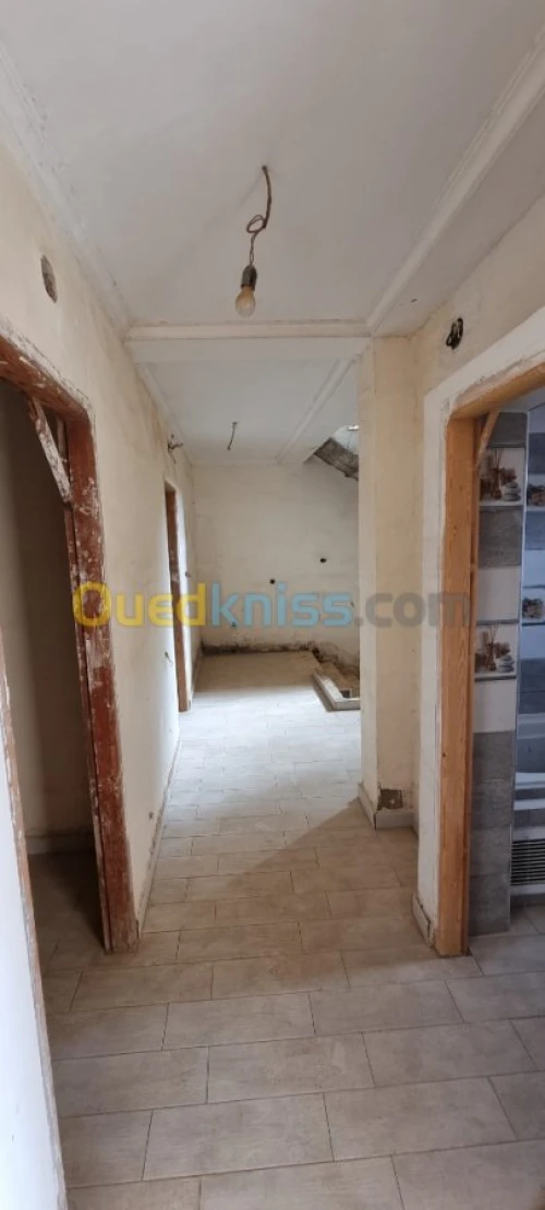 Vente Carcasse Alger Khraissia