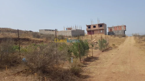Vente Terrain Blida Bouinan