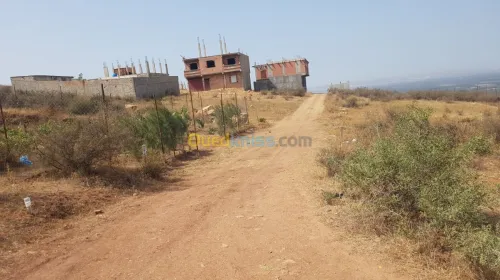 Vente Terrain Blida Bouinan