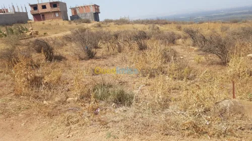 Vente Terrain Blida Bouinan