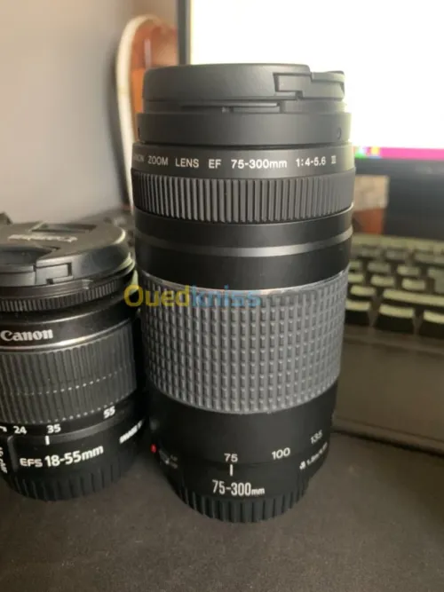 Canon EOS 2000D + Objectifs 