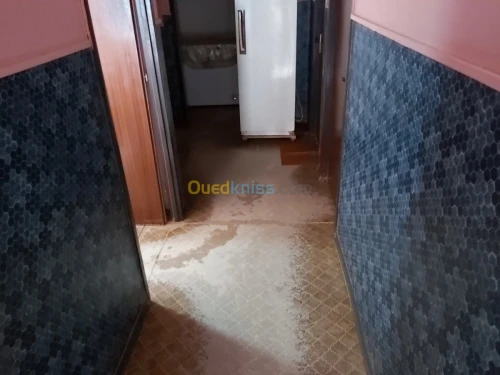 Vente Niveau De Villa Chlef Chlef