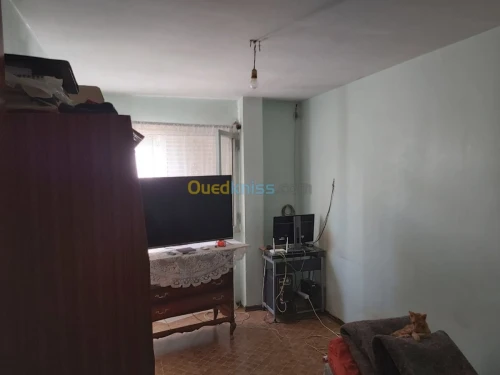 Vente Niveau De Villa Chlef Chlef