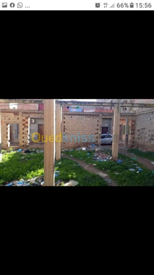 Vente Carcasse Tlemcen Maghnia