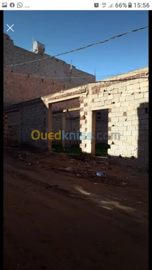 Vente Carcasse Tlemcen Maghnia