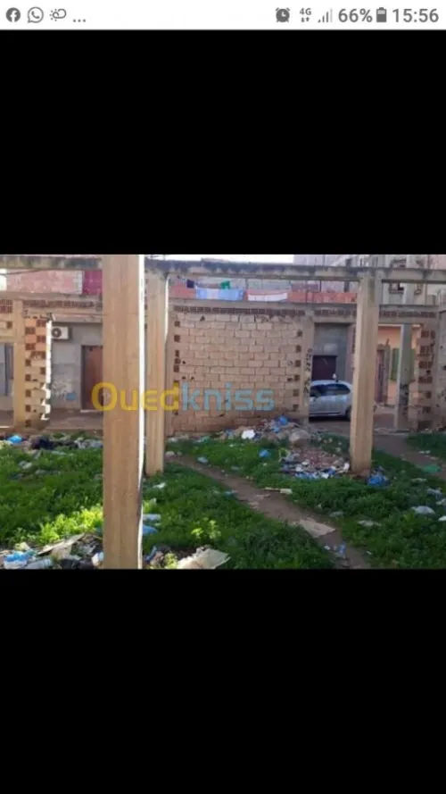 Vente Carcasse Tlemcen Maghnia