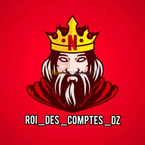 NETFLIX OFFICIEL service professionnel