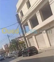 Vente Local Tipaza Kolea