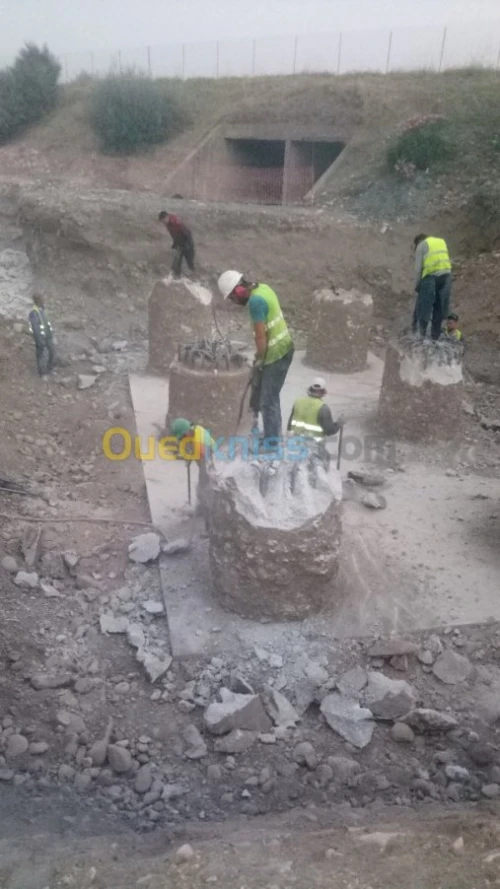 Travaux de recepage /location Compress