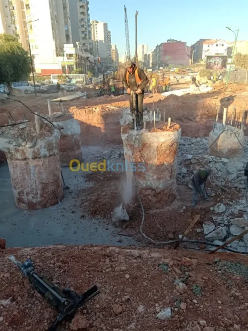 Travaux de recepage /location Compress