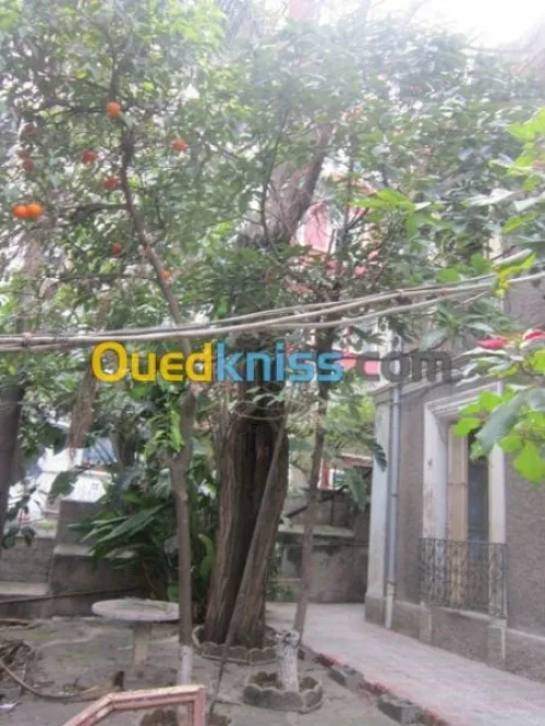 Vente Villa Alger Sidi mhamed
