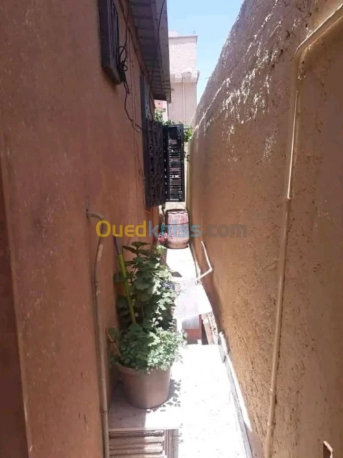 Vente bien immobilier Ain defla El attaf