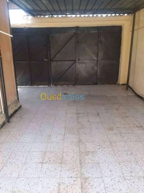 Vente bien immobilier Ain defla El attaf
