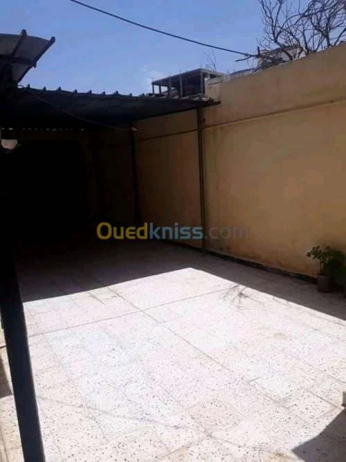 Vente bien immobilier Ain defla El attaf