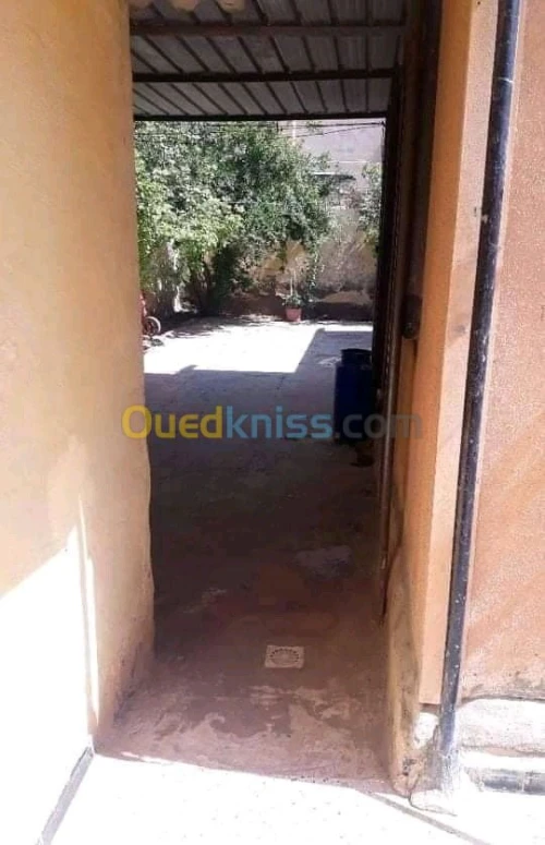 Vente bien immobilier Ain defla El attaf