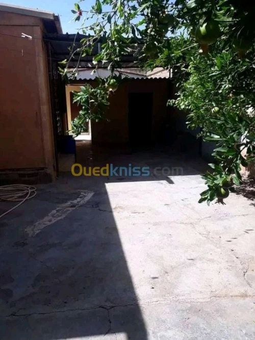 Vente bien immobilier Ain defla El attaf
