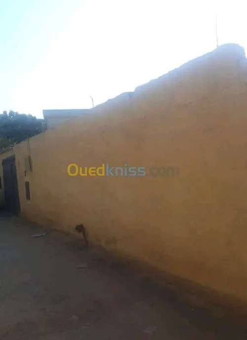 Vente bien immobilier Ain defla El attaf