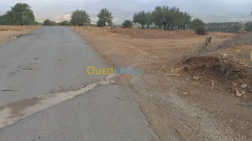 Vente Terrain Bouira El adjiba