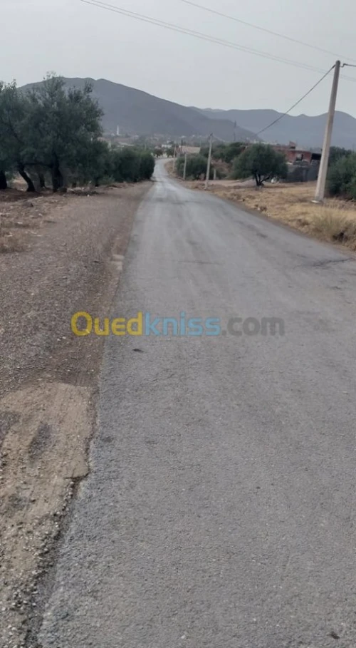 Vente Terrain Bouira El adjiba