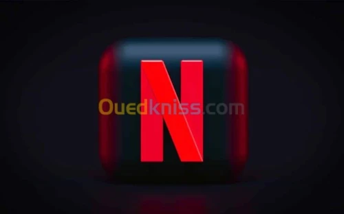 NETFLIX OFFICIEL service professionnel