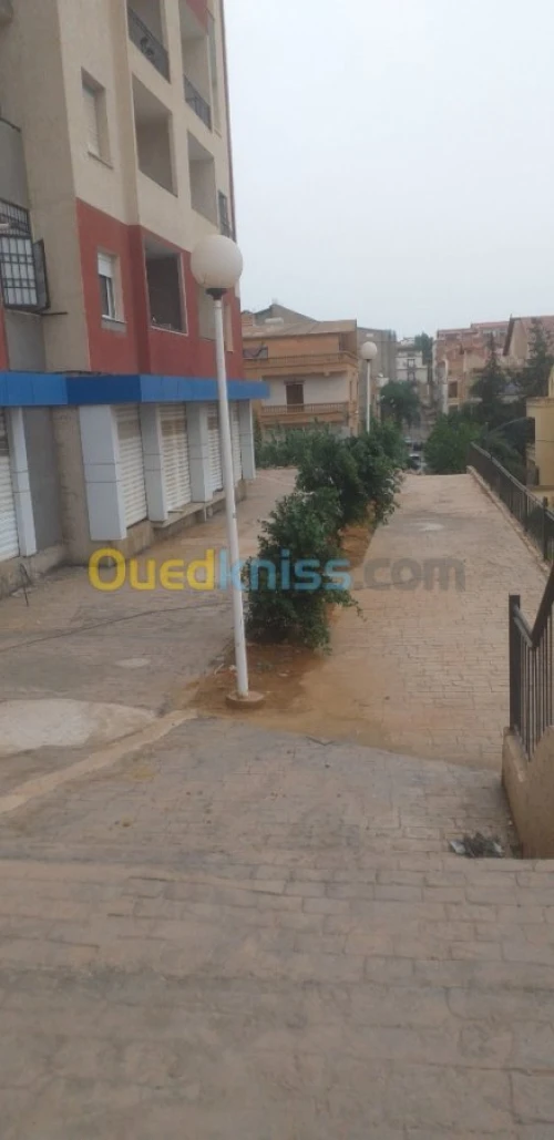 Location Local Alger Baba hassen