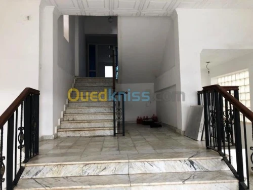 Location Immeuble Alger Zeralda