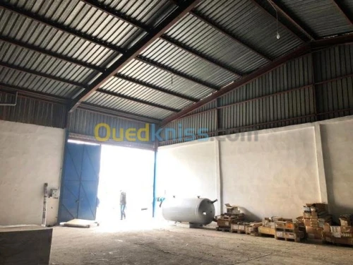 Location Immeuble Alger Zeralda