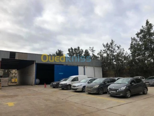 Location Immeuble Alger Zeralda