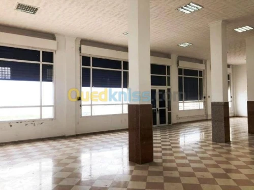 Location Immeuble Alger Zeralda