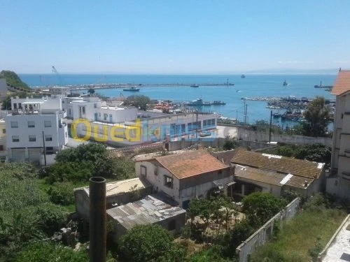 Vente Appartement F4 Annaba Annaba