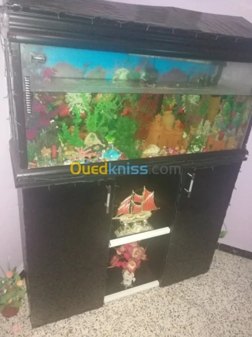 Aquarium 1metre 50cm