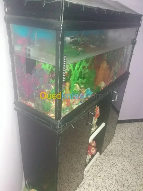 Aquarium 1metre 50cm
