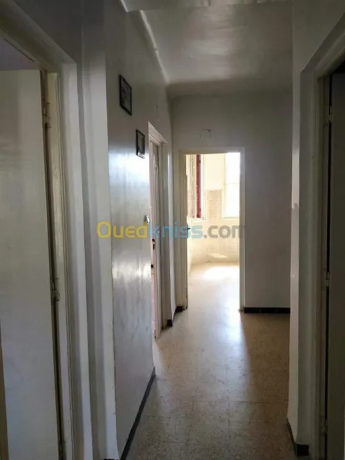 Location Appartement Tipaza Tipaza