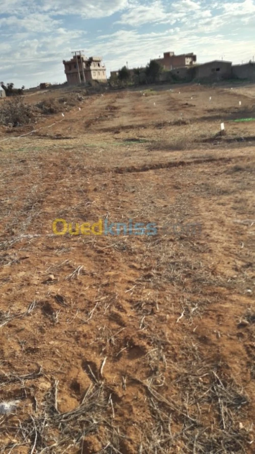 Vente Terrain Ain temouchent Beni saf