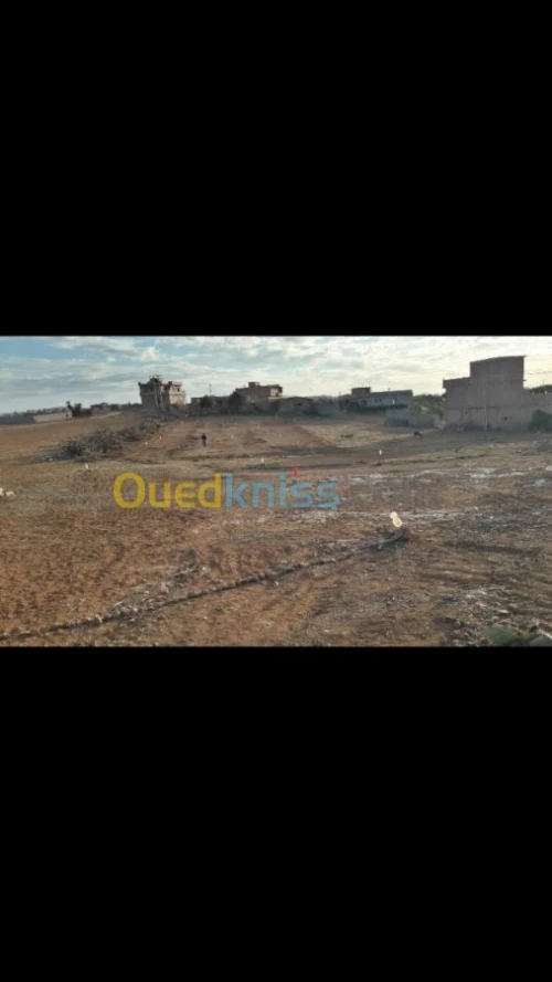 Vente Terrain Ain temouchent Beni saf