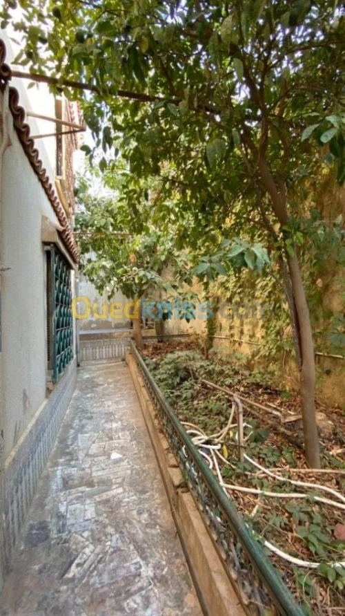 Vente Villa Blida Blida